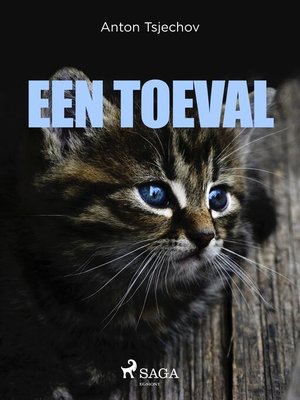 cover image of Een toeval